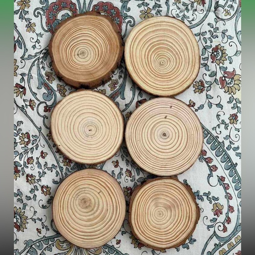 1set/6pcs 10-12cm Round Pine Wood Slices For Diy Crafts - Picture 2 of 16